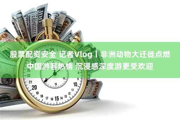 股票配资安全 记者Vlog丨非洲动物大迁徙点燃中国游客热情 沉浸感深度游更受欢迎