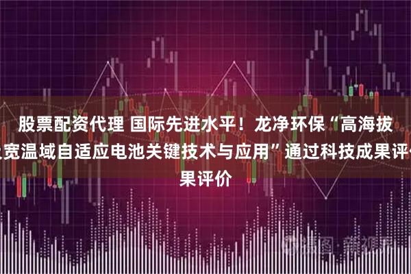 股票配资代理 国际先进水平！龙净环保“高海拔及宽温域自适应电池关键技术与应用”通过科技成果评价