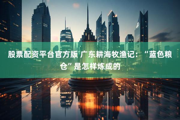 股票配资平台官方版 广东耕海牧渔记：“蓝色粮仓”是怎样炼成的
